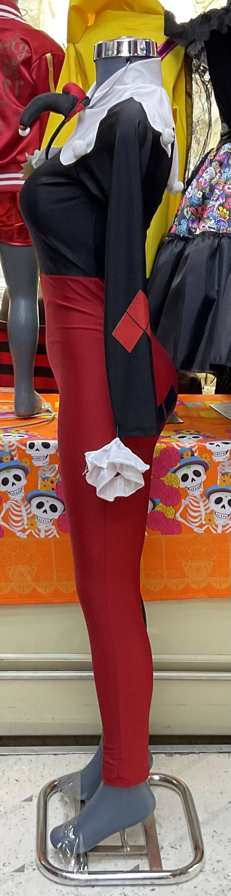 Disfraz de Arlequina para Dama